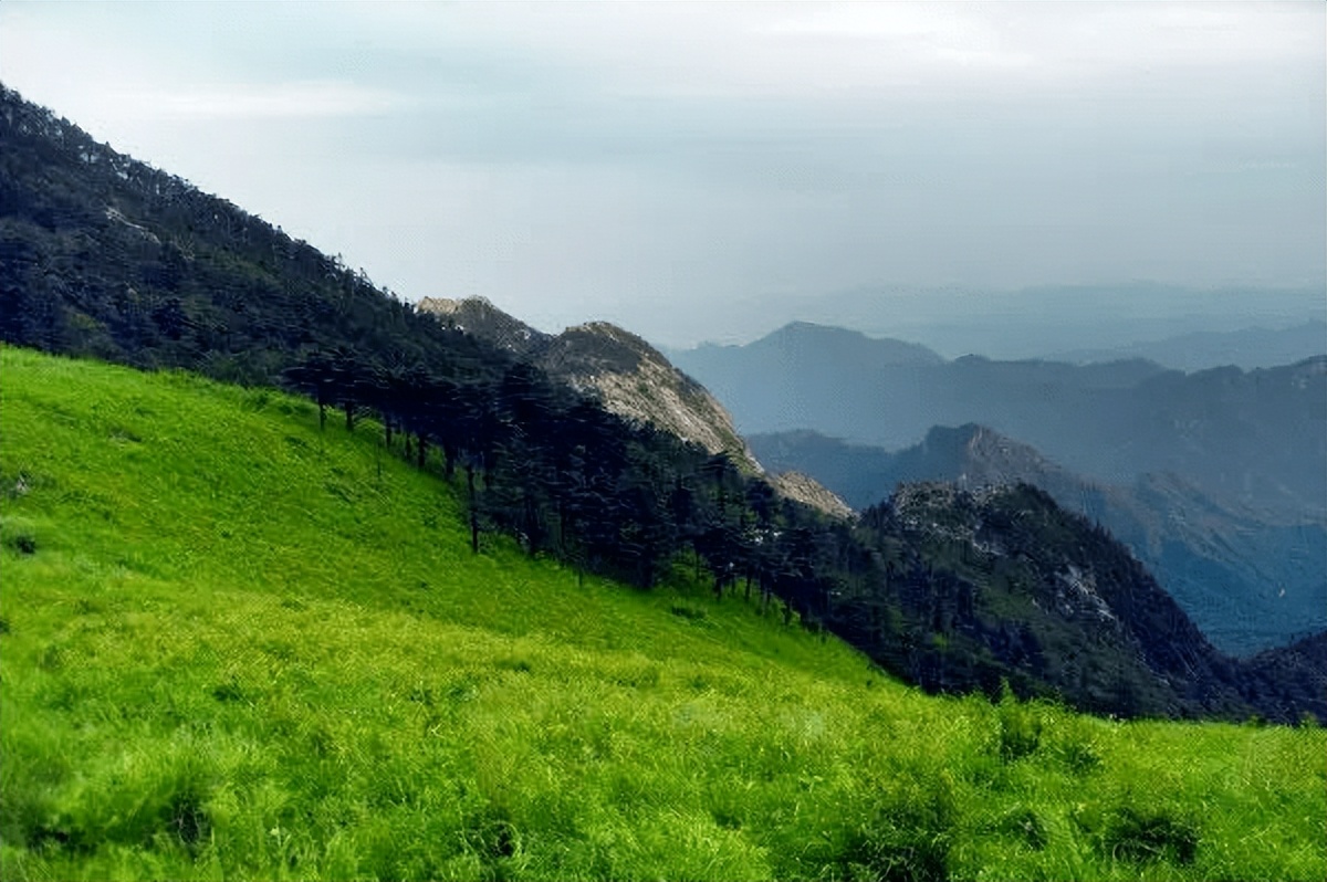 西安炎炎夏日游玩攻略,西安避暑纳凉好去处都市快报