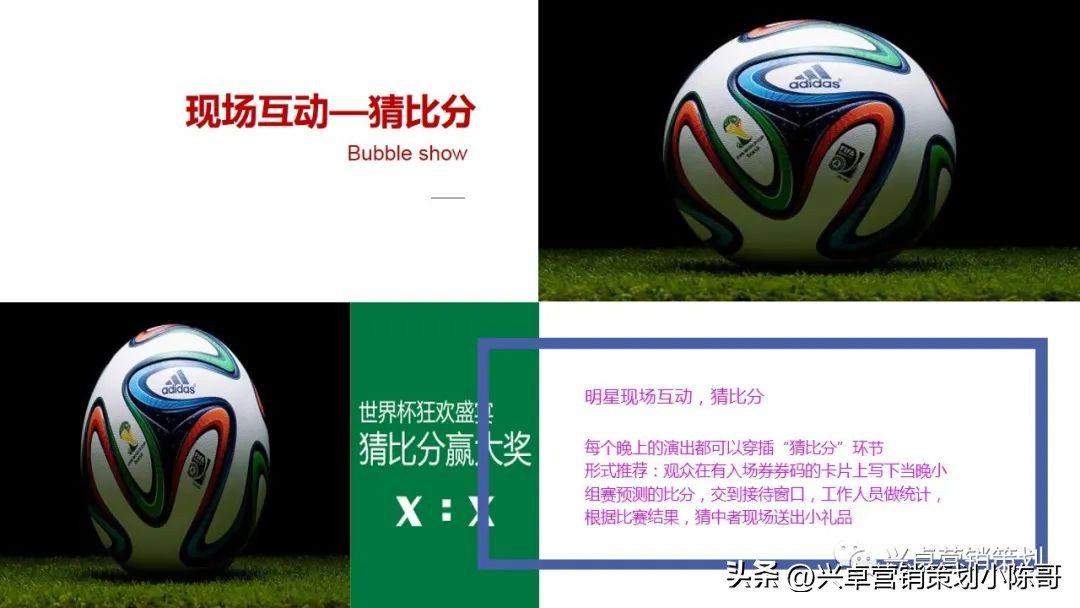 卡塔尔世界杯集装箱场馆,卡塔尔世界杯酒吧活动