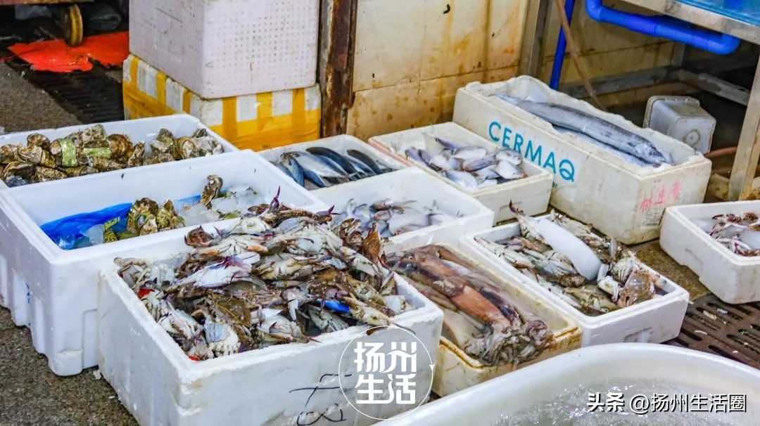 不吃一顿螃蟹，扬州人过不好这个秋天