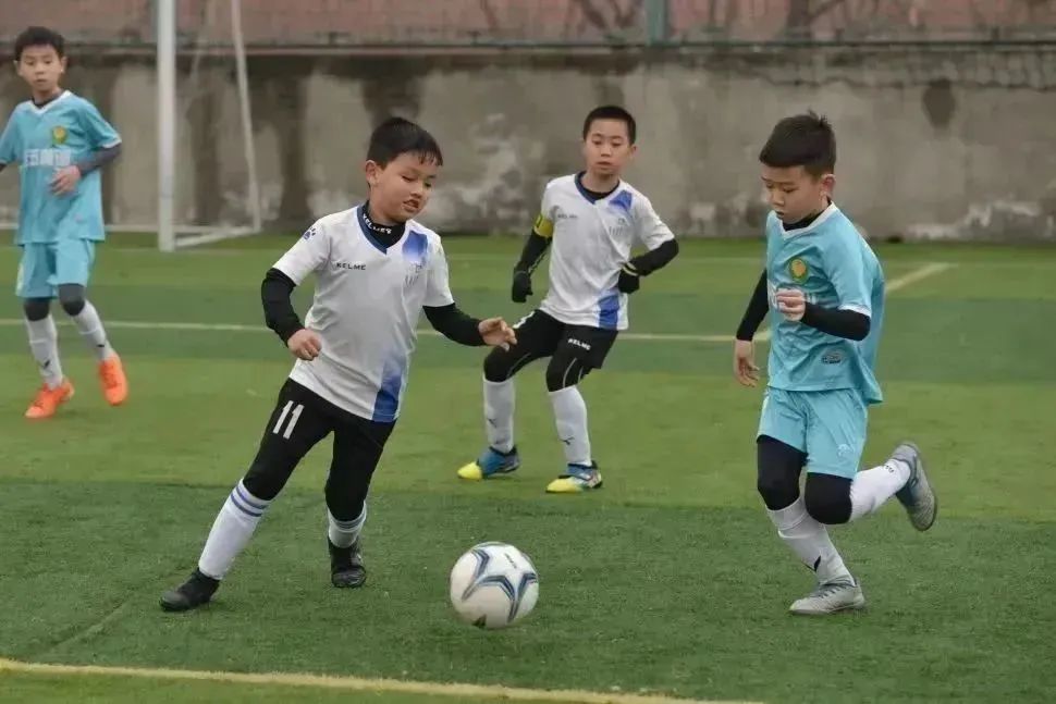 绿茵小将比赛视频,绿茵小将