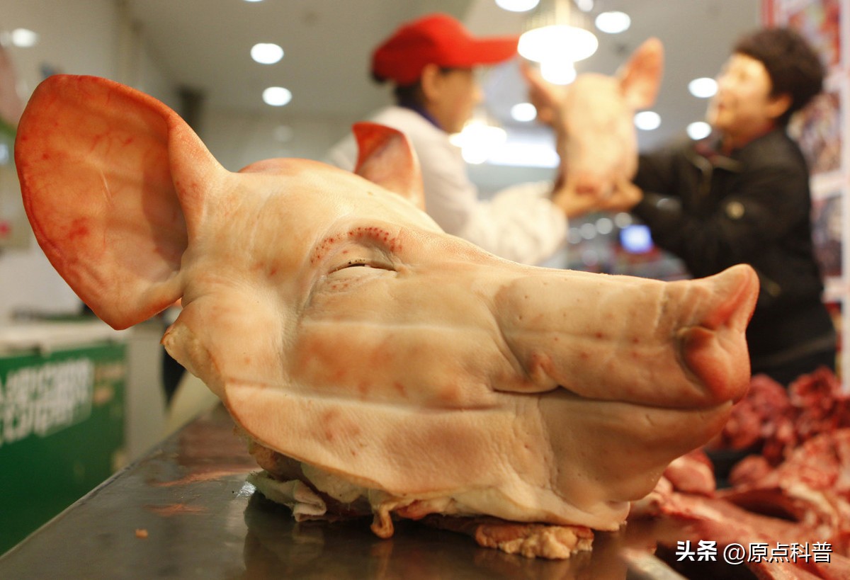 中国人吃了十大奇葩食物,盘点我们中国十大残忍美食