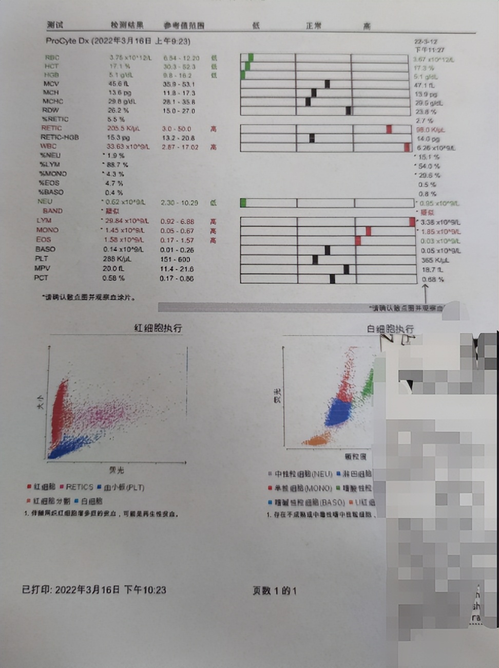 宠物医生，猫咪右手臂骨折，伤口化脓发炎怎么办？