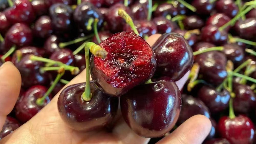 开水果店水果去哪里进货,新手开水果店从哪里进货