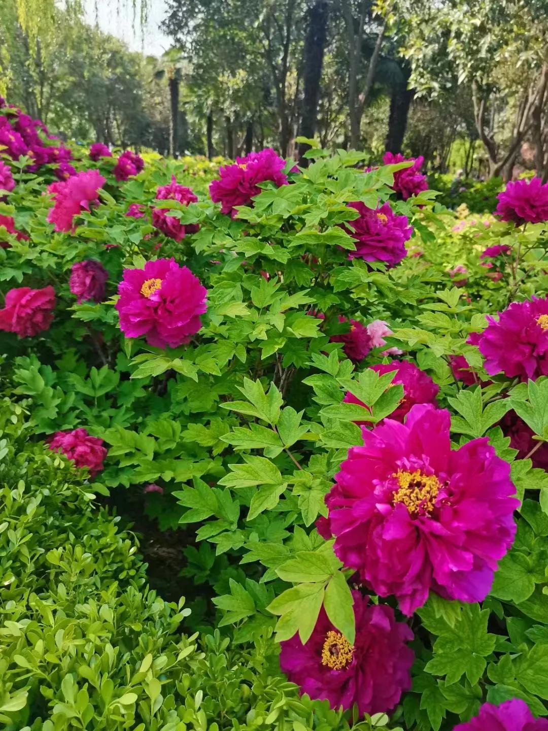 如果你没有活下去的理由,你会做什么呢?