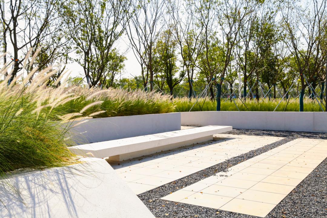 东莞滨海湾文体中心,东莞文体公园规划