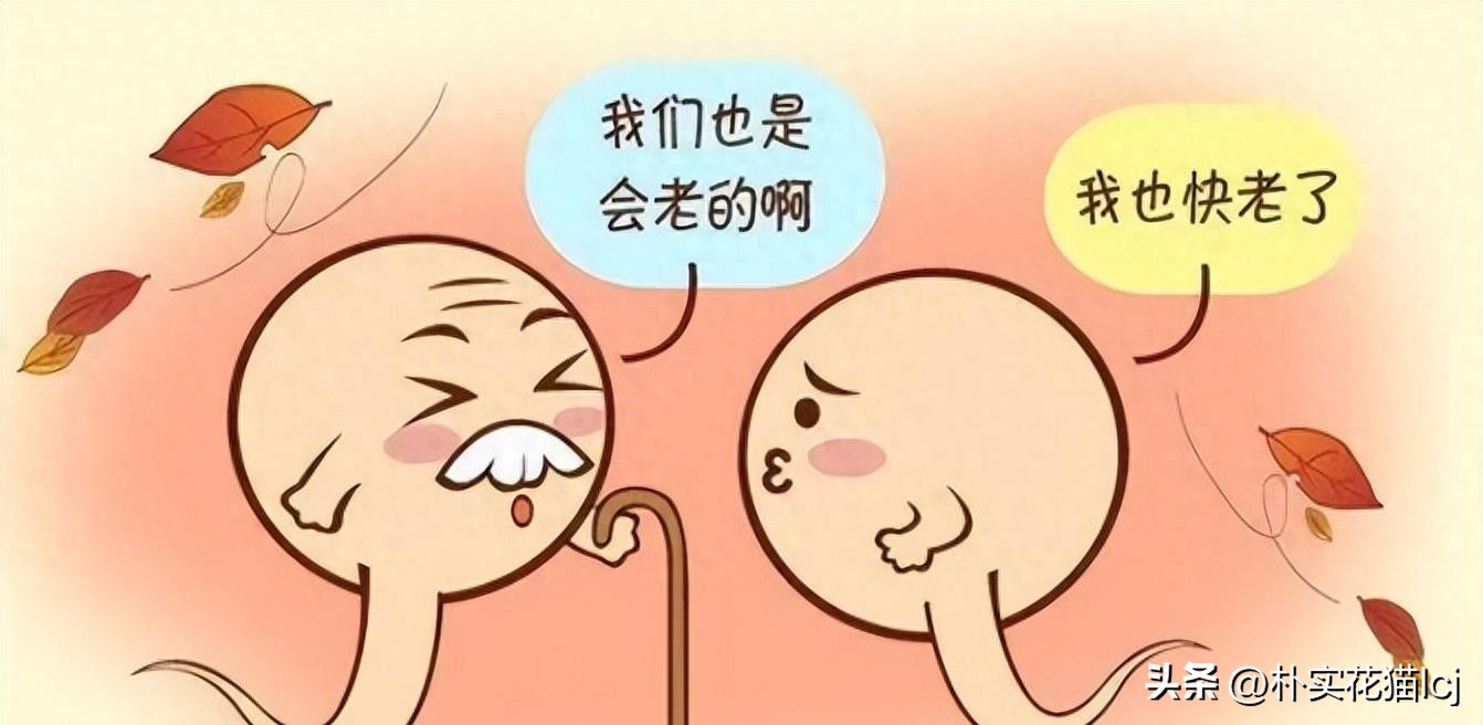 精子受孕未成功后去哪了,没有成功受孕的精子都去哪里了