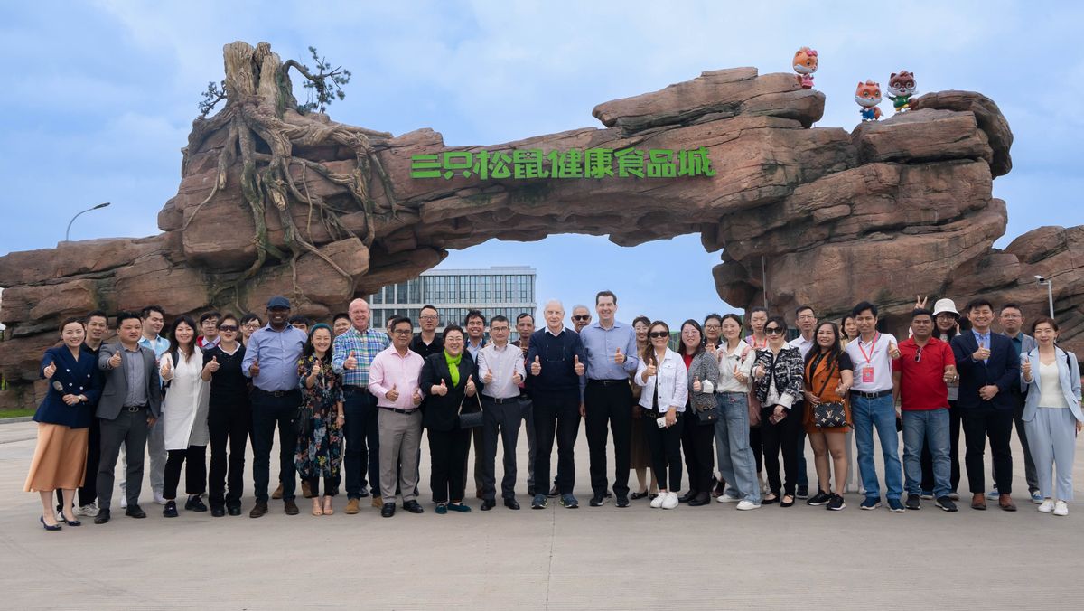 三只松鼠上市的电商启示录,从互联网思维看三只松鼠