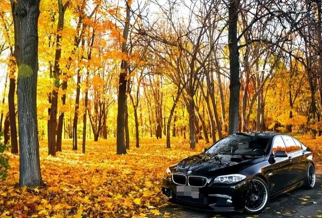 保姆给雇主洗鞋袜,保姆给雇主洗衣服经历