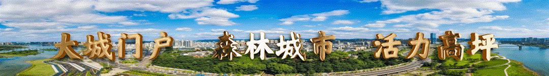 “阳”了怎么办？南充最新公告来了！请相互传阅！