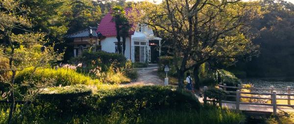 宫崎骏退休发布会,82岁宫崎骏退休之作定档