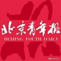 为什么冰墩墩那么火,为什么冰墩墩是熊猫