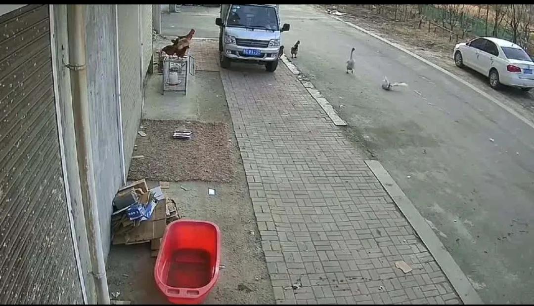 国外间谍窃密手段,间谍会用哪种手段窃取国家秘密