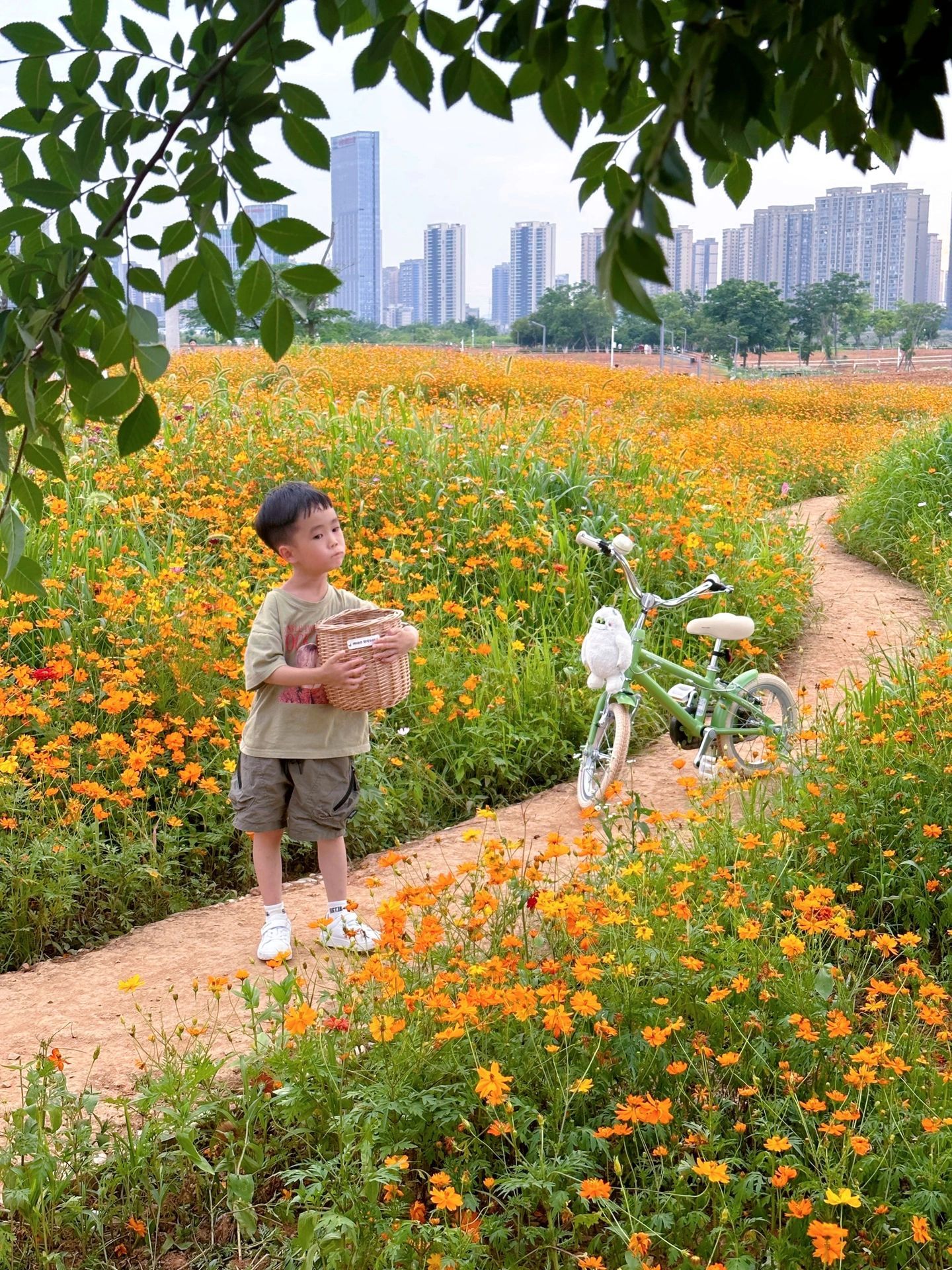 长沙梅溪海洋公园游玩攻略,长沙格桑花海旅游攻略