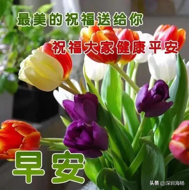 不能做一只在家躺平的猪,那就当一头生产队的驴吧