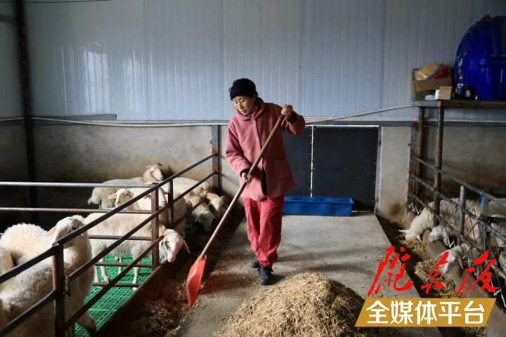 新春走基层夫妻,返乡创业的夫妻日常