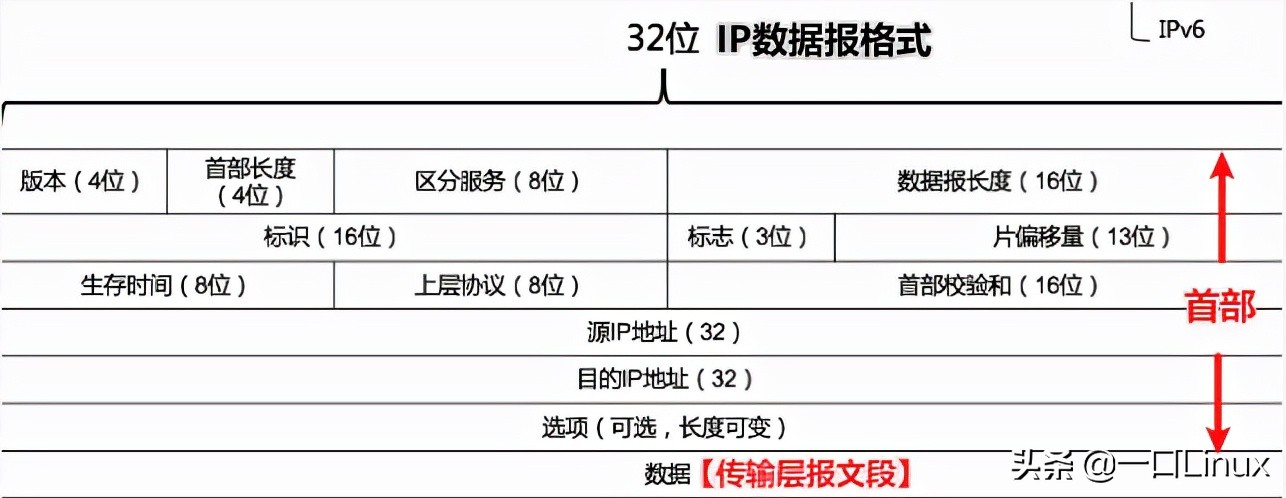 计算机网络技术实训总结,计算机二级office知识点总结