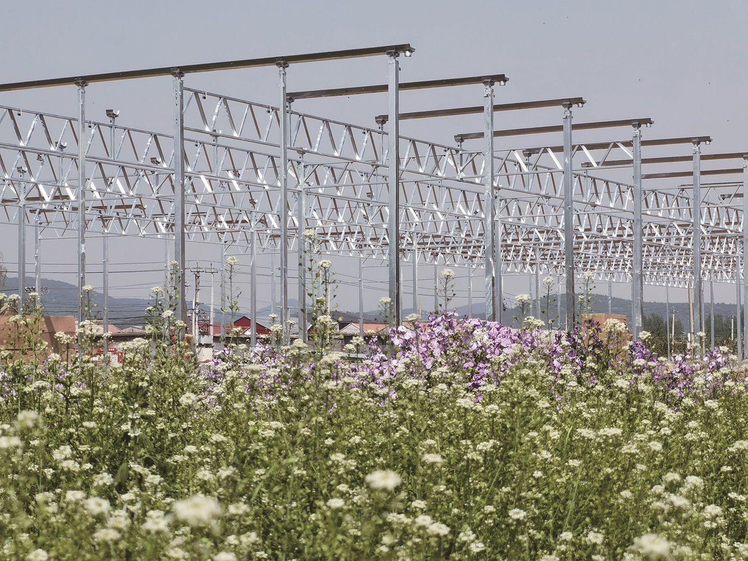 中国农业大学西樊各庄科技小院,北京平谷科技小院