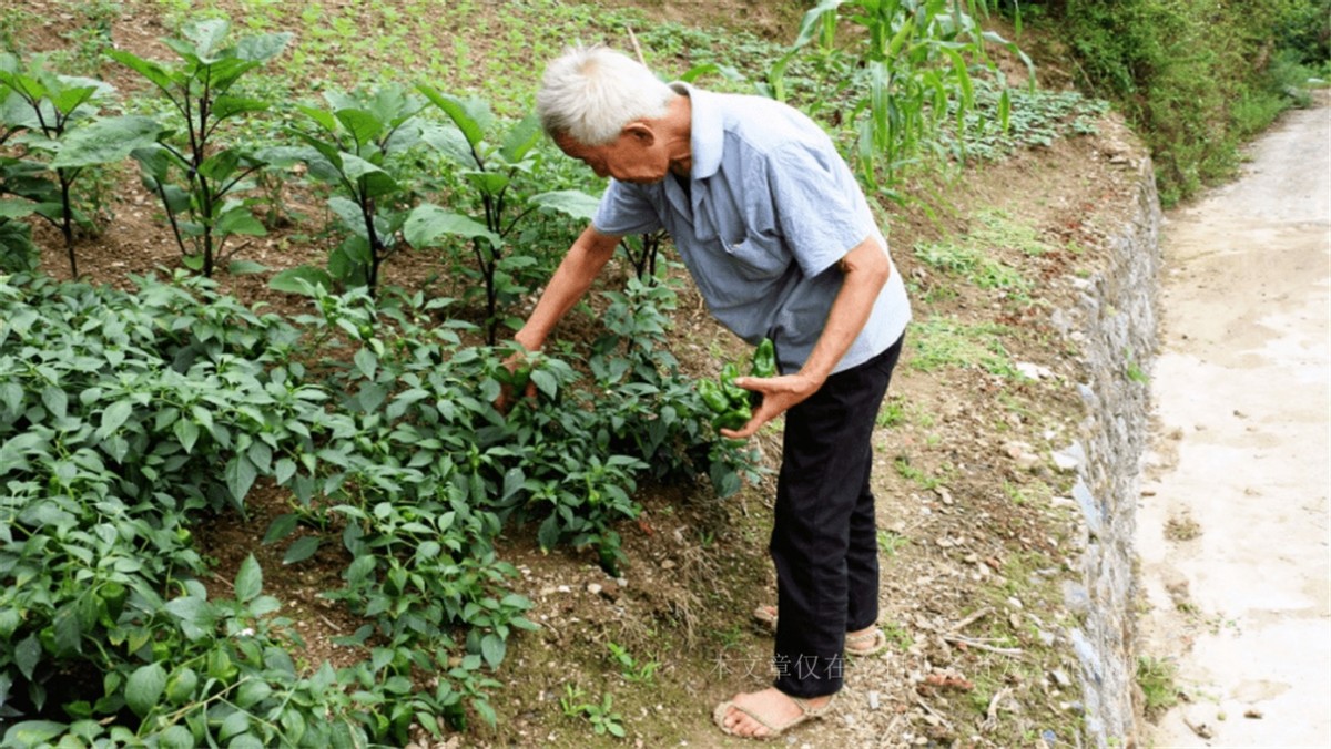 买到假烟举报后续,买到假烟找谁处理