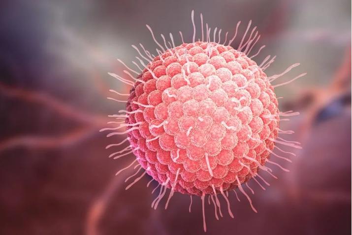 老年人得疱疹两个月了手上还是疼,老年人得了疱疹隔三差五好不了