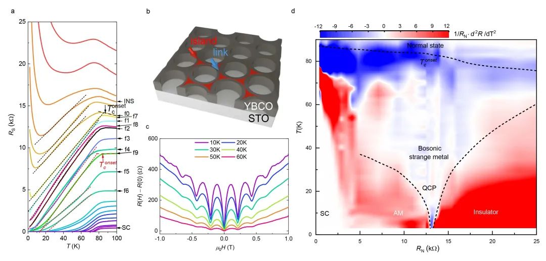 院士评选十大科技进展,两院院士十大科技进展