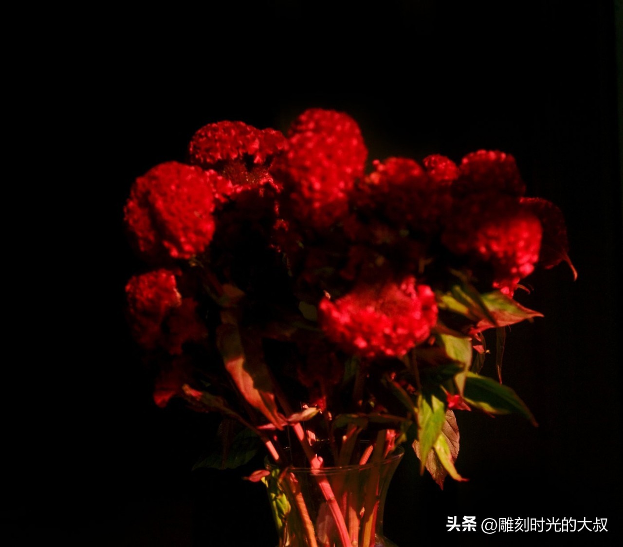 ai摄影师获奖,ai和摄影结合的摄影师