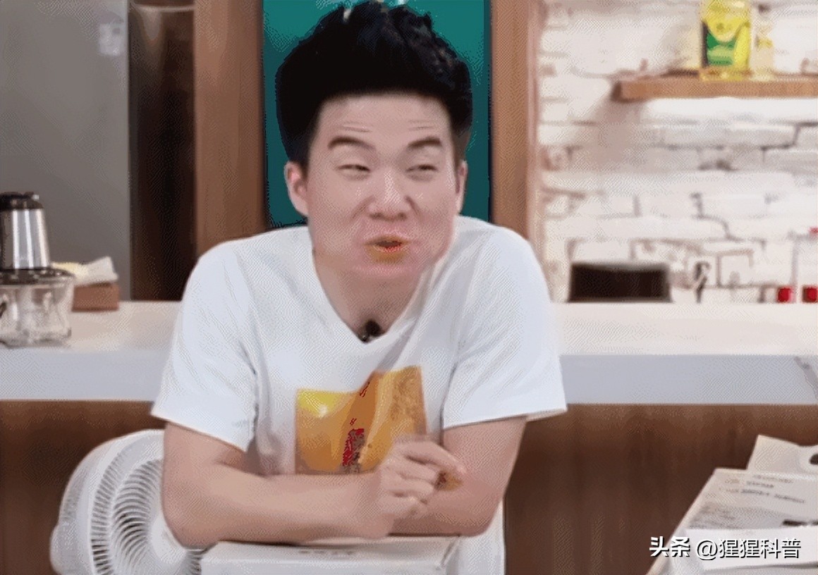 网红麦小登为啥排第二,麦小登网红排行榜