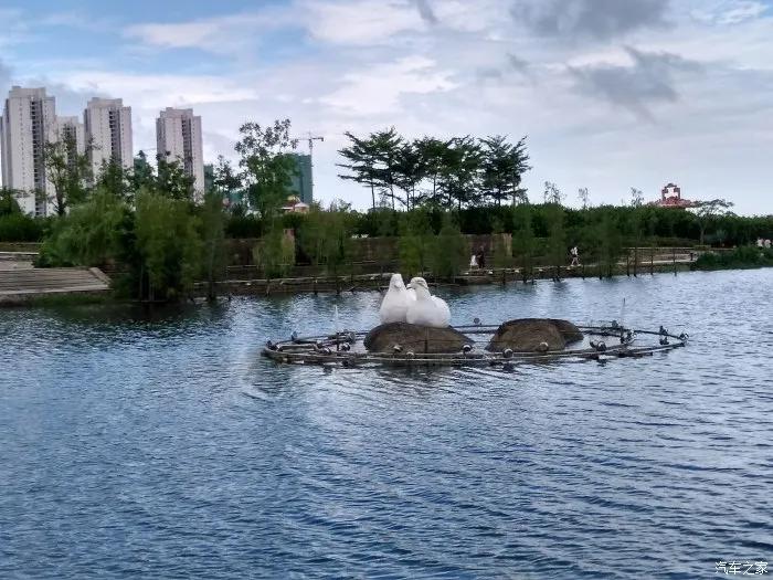 江阳公园有哪些景点,江阳旅游景点推荐