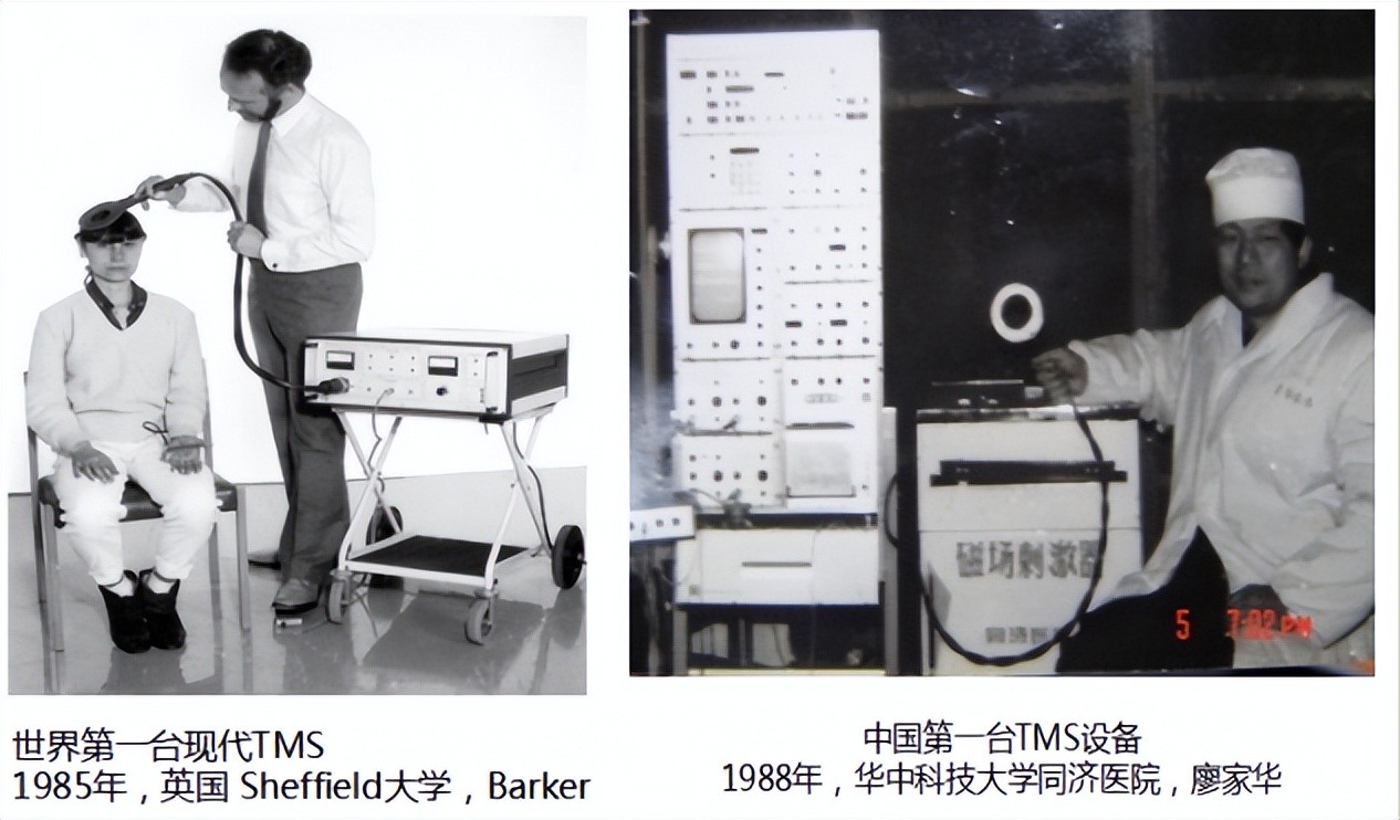 tms的特点和优点,tms开发流程