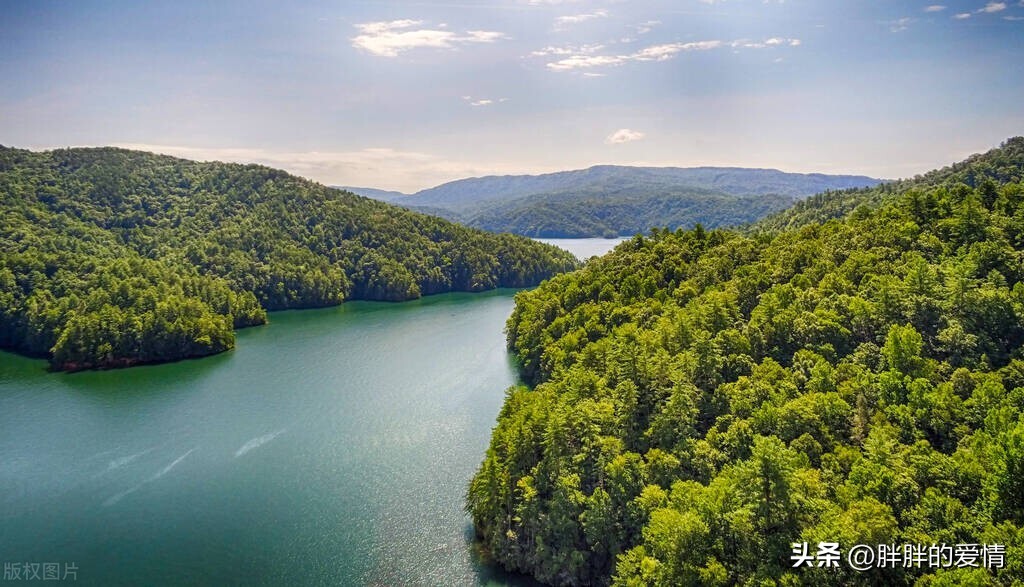 人生百味尝了一味,人生百味酸甜苦辣咸都尝尽