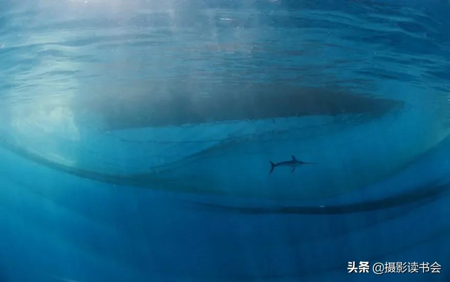 2018年度最佳摄影照片,创造出令人惊叹的自然摄影照片