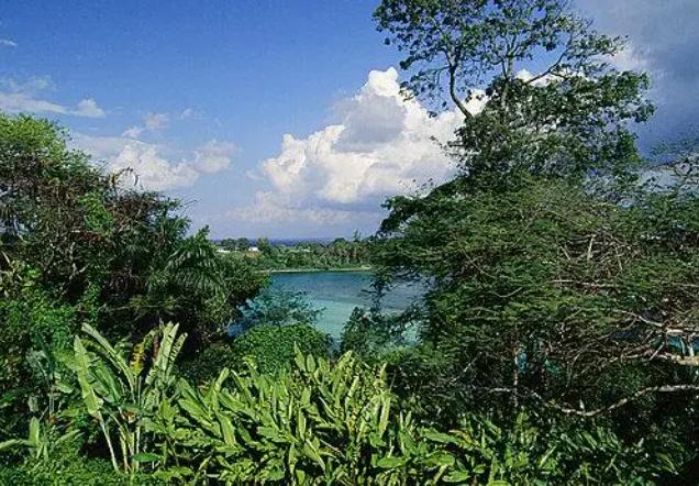 牙买加社会状况,牙买加同性婚姻合法化