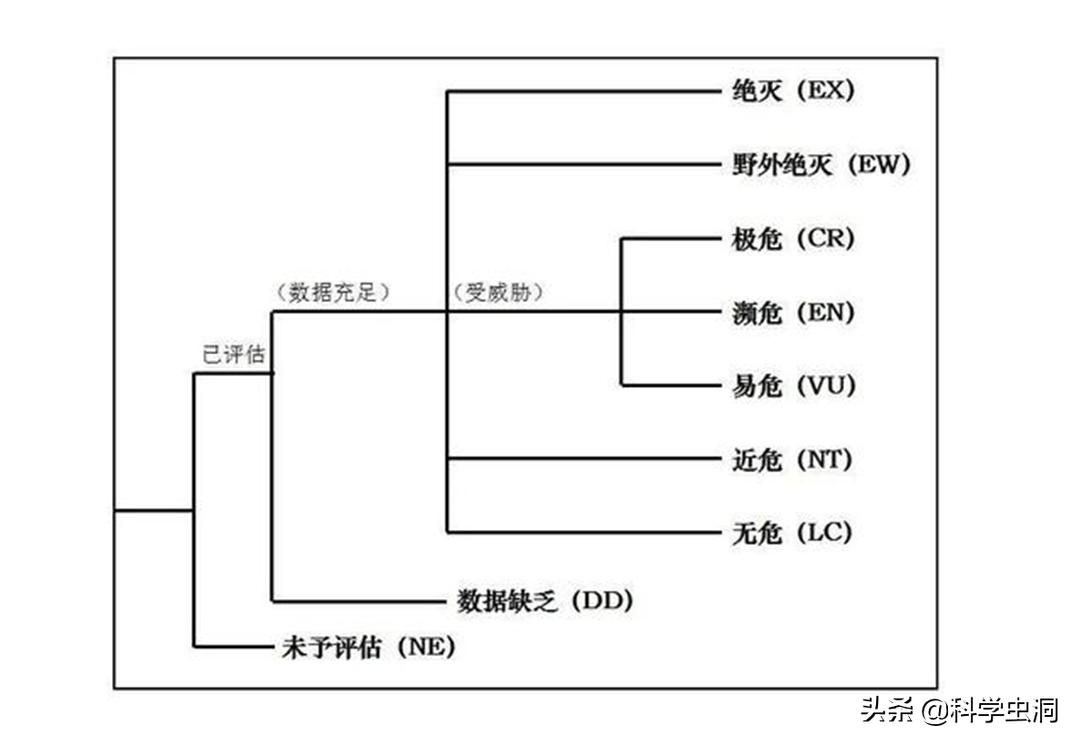 天津一女子买鸟头吊坠被判刑10年,天津女子购买吊坠