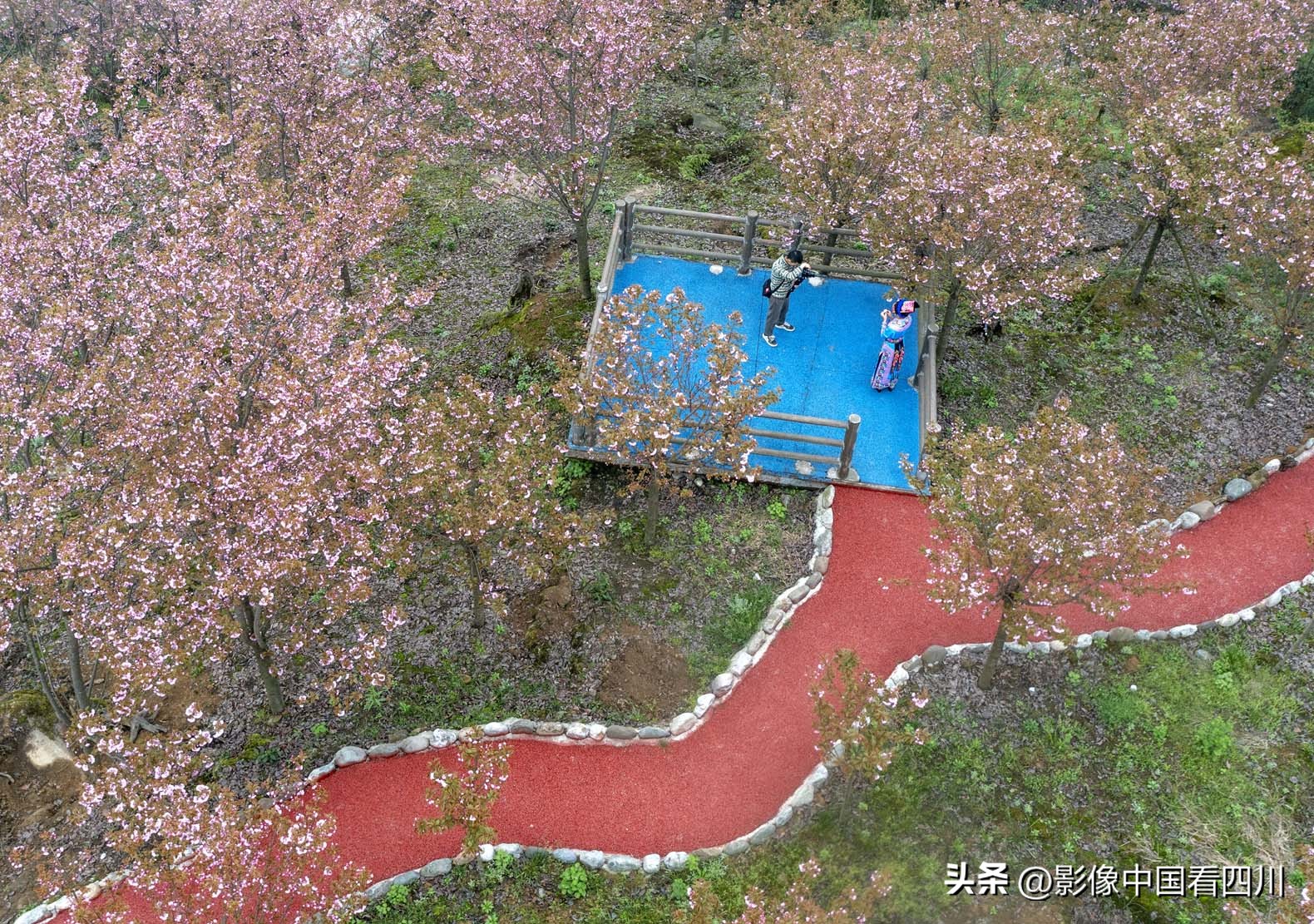 刘国兴的2022年:冬去春来,愿岁月静好(上集)