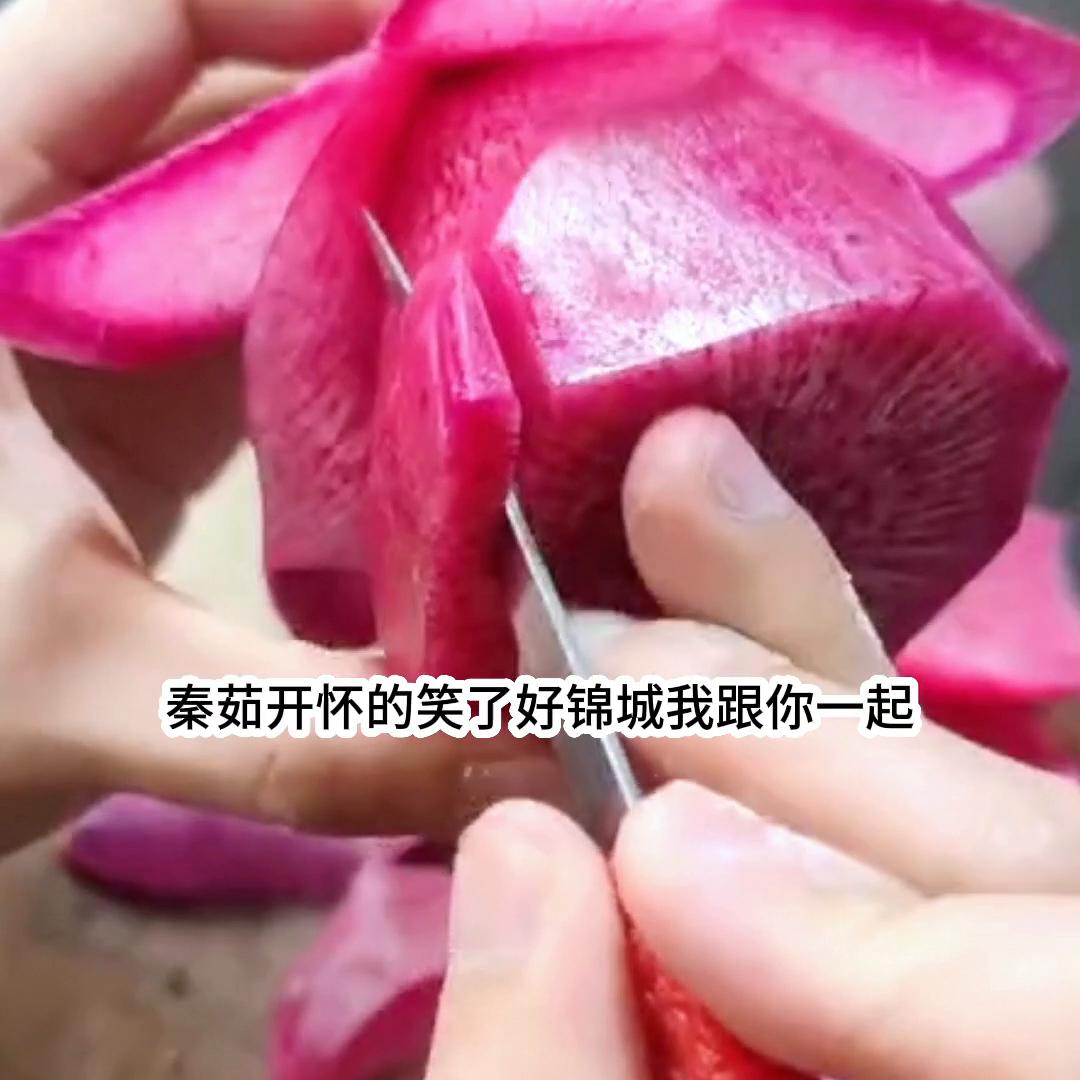 文荒推文爽文完结,文荒推文末日重生