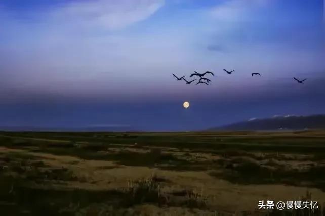 杜甫最经典的15首诗,杜甫的诗最经典的十首