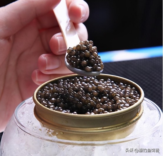 意外捕捞野生达氏鳇,达氏鳇增殖放流活动