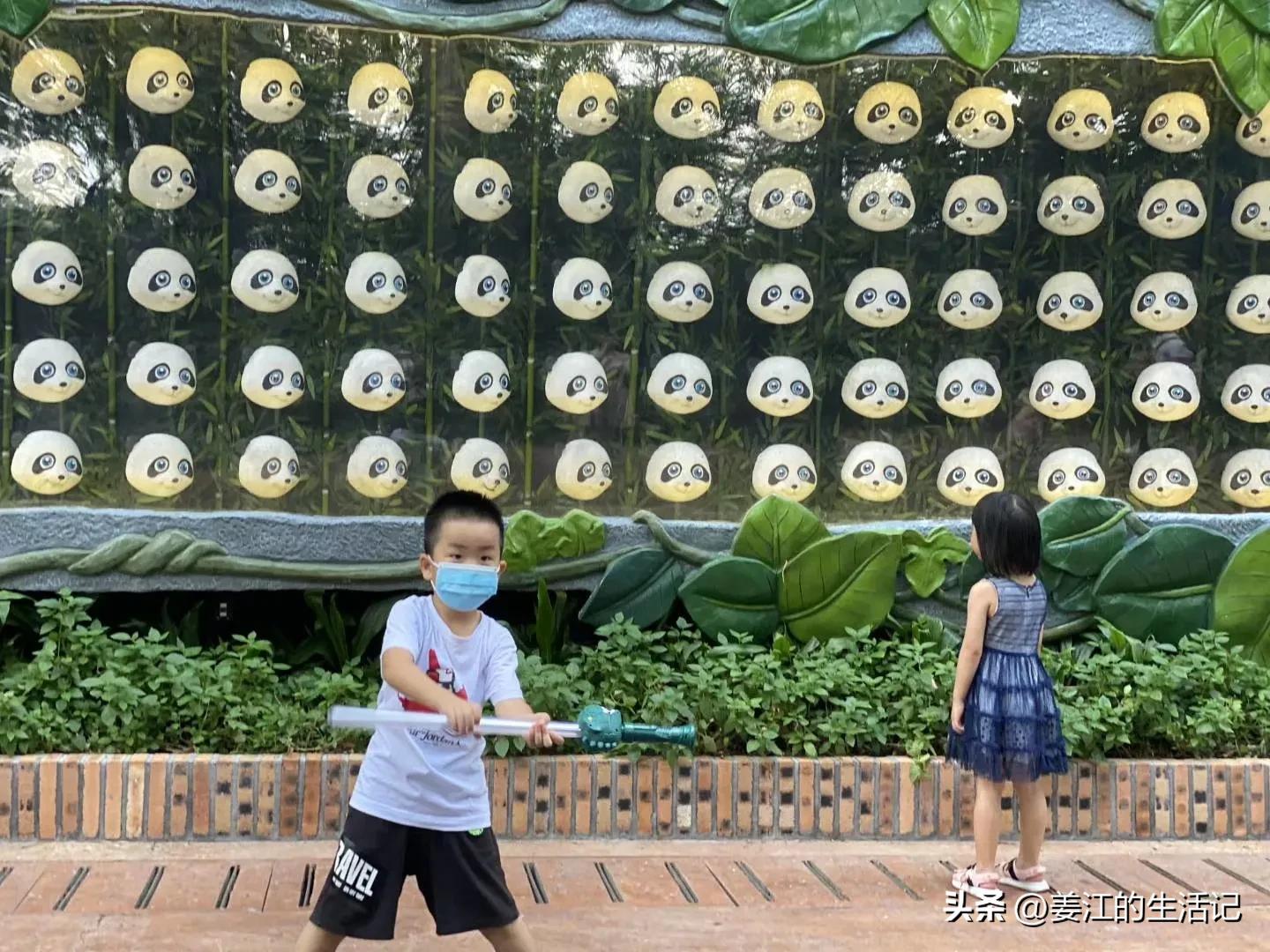 广州长隆野生动物园最好攻略,最近广州长隆野生动物园攻略