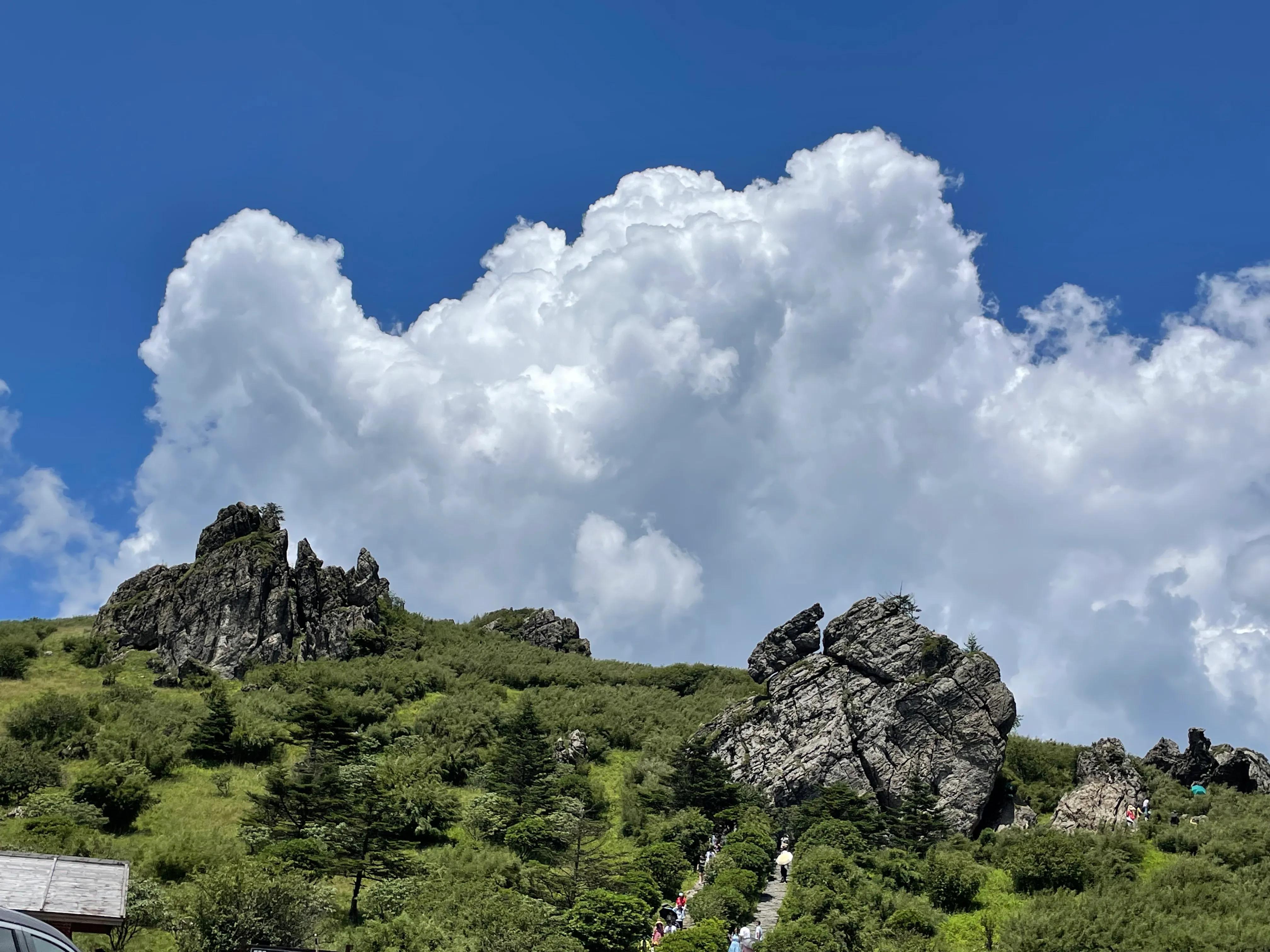去神农架旅游推荐去哪,北京自驾神农架恩施攻略