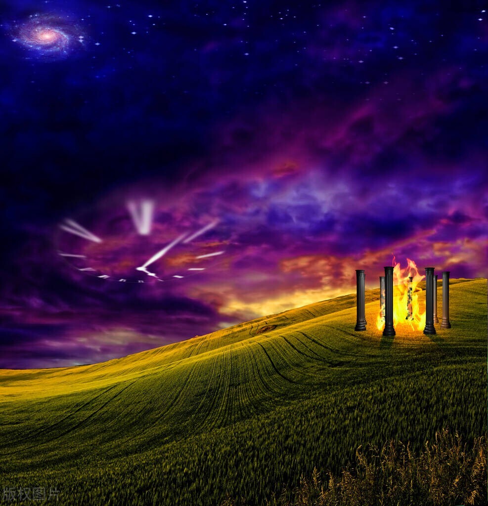 养了一年多的猫不见了，找到后能听懂人话