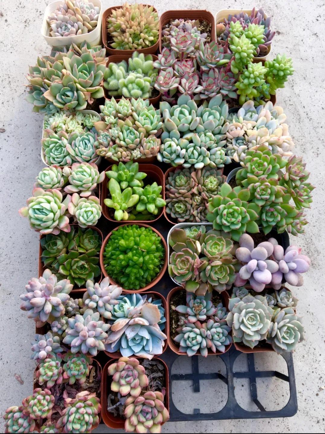 开一家花店赚十万,开花店一年赚五百万