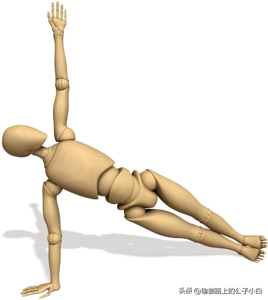 瑜伽解剖体式正位发力图,瑜伽侧板式体式