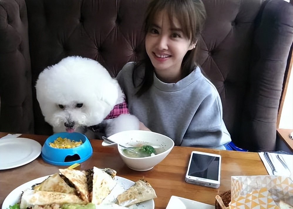 两个多月比熊犬拉稀呕吐怎么回事,比熊犬半夜呕吐黄色沫子怎么回事