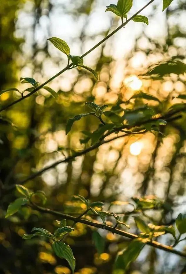 怎样才是正确的摄影拍摄姿势,学会这9个摄影技巧