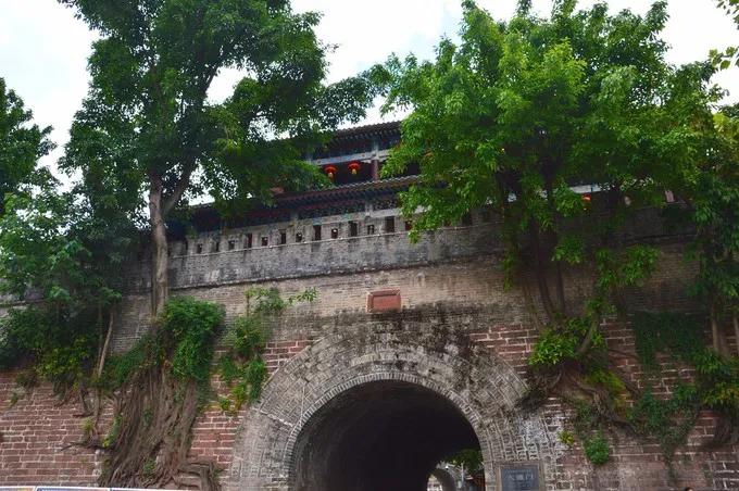 生活在大理的外地人,生活在拉萨的外地人