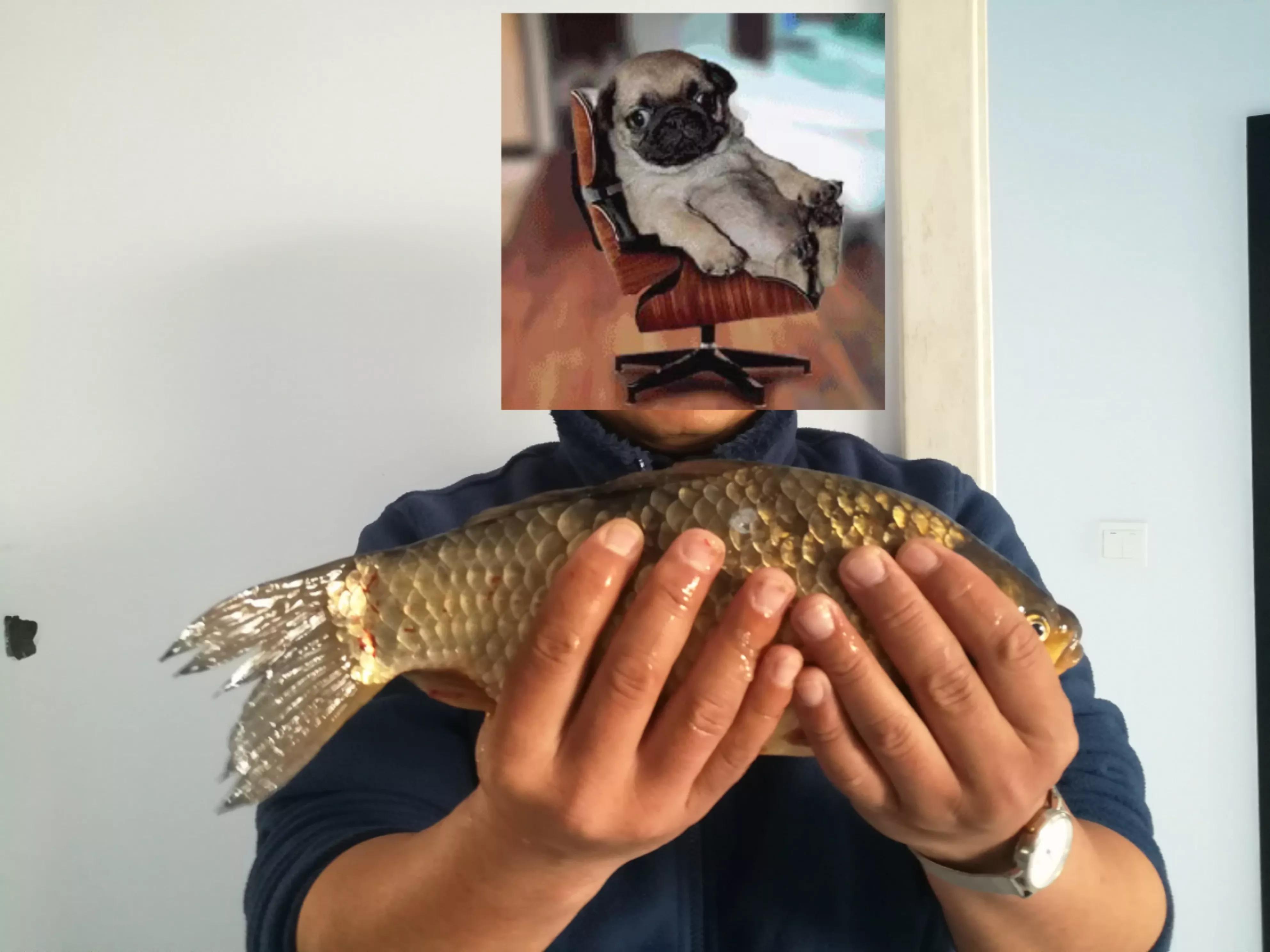 野钓传统钓鱼竿多少米最合适,传统钓鱼竿如何选购