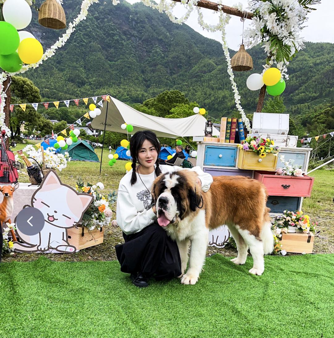 萌宠暴击！对不起我家狗子太萌了，想请你看一下！