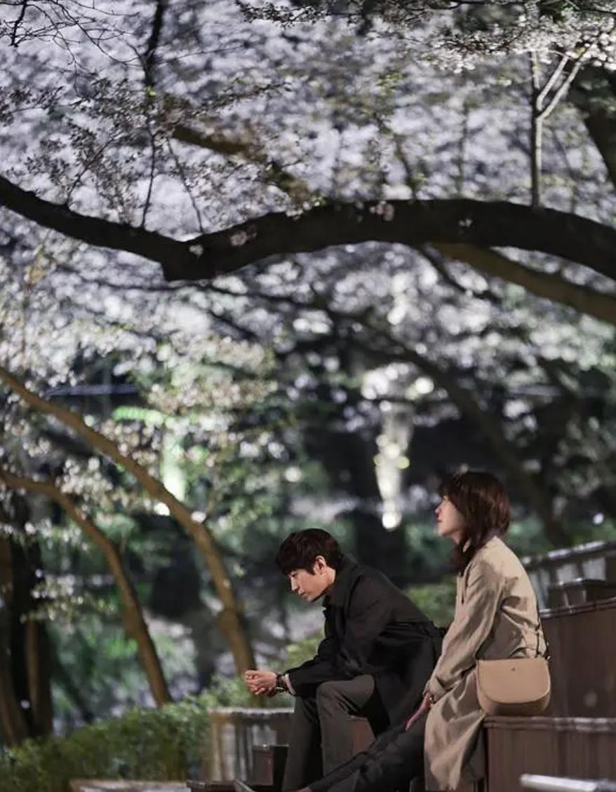 我的解放日志讲述的是什么,我的解放日志讲了什么故事