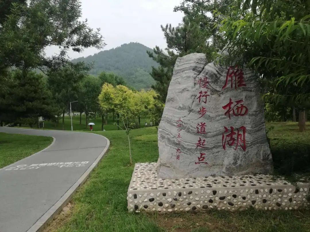 京郊步道旅游攻略,最惊艳的森林步道