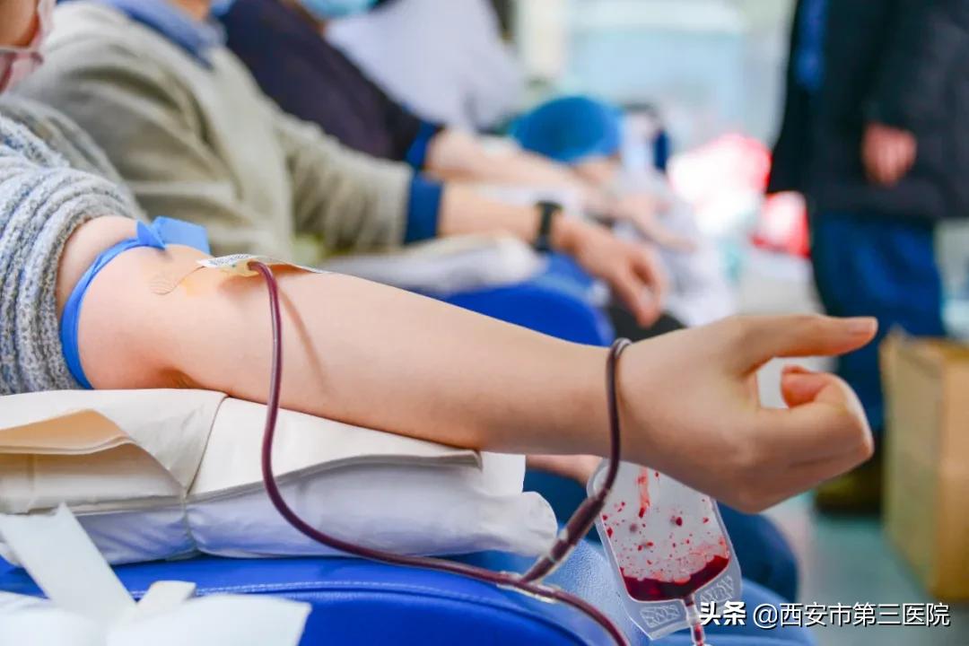 涨知识献血,献的血为什么是黑红色的