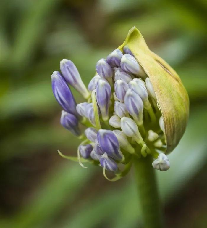 时光荏苒岁月如梭人生如歌,时光荏苒岁月如梭不负韶华